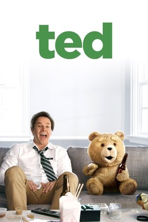 Ted 1 - Vj Junior
