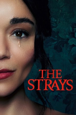 The Strays - Vj Ulio