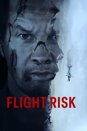 Flight Risk - Vj Ice P