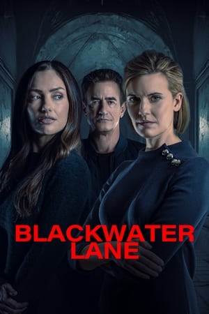 Blackwater Lane - Vj Emmy