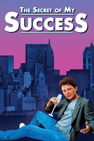 The Secret of My Success - Vj Tom