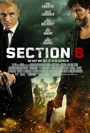 Section 8 - Vj Ice P