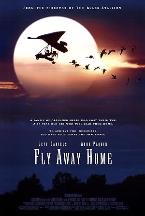 Fly Away Home - Vj Mark