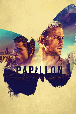 Papillon - Vj Junior