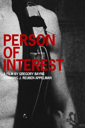 Person of Interest 1 - Vj Jingo