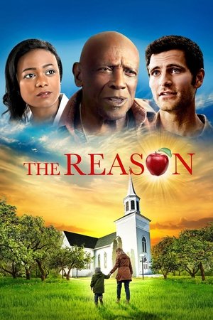 The Reason - Vj Zaidi