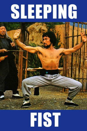 Sleeping Fist - Vj Jingo