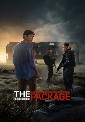 The Package - Vj Jingo