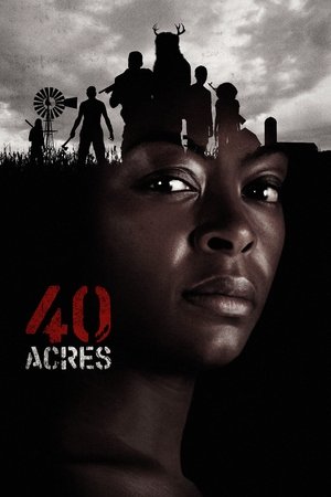40 Acres - Vj Junior