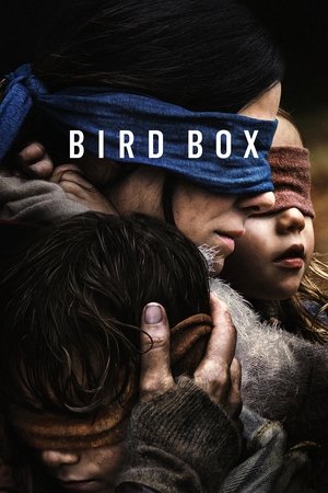 Bird Box - Vj Emmy