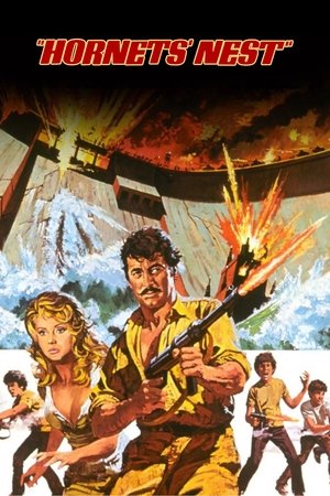 Hornets' Nest - Vj Jingo