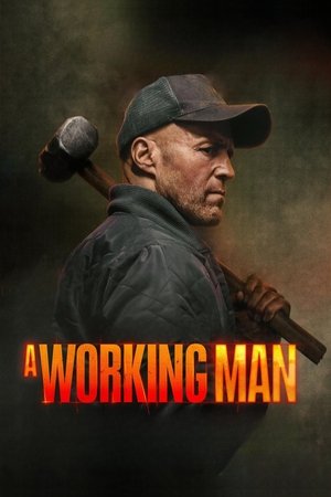 A Working Man - Vj Junior