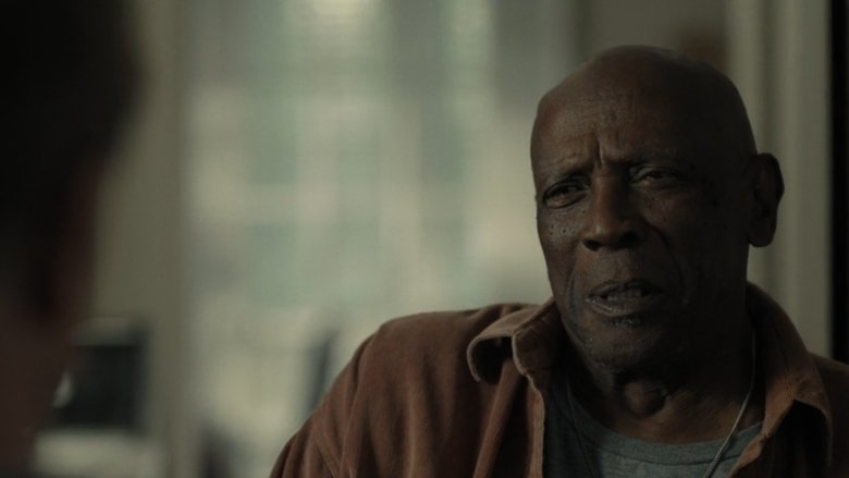 The Reason - Vj Zaidi