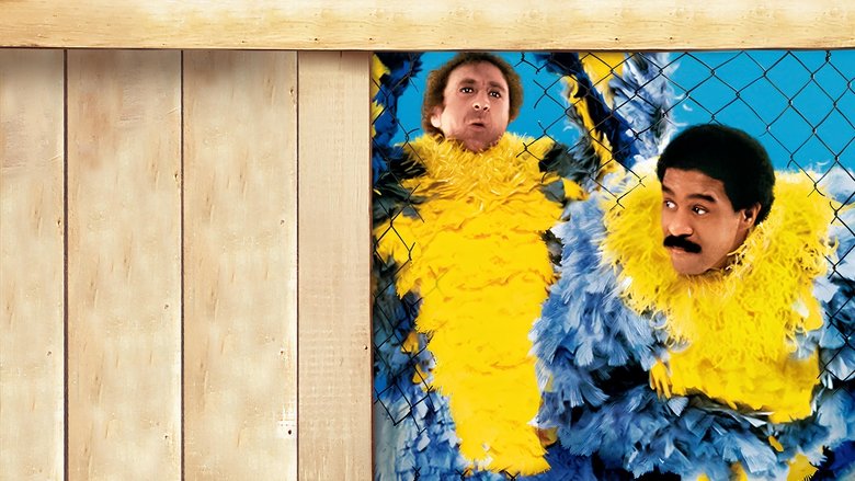 Stir Crazy - Vj Jingo