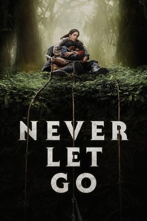 Never Let Go - Vj Junior