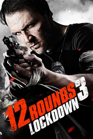 12 Rounds 3: Lockdown - Vj Junior