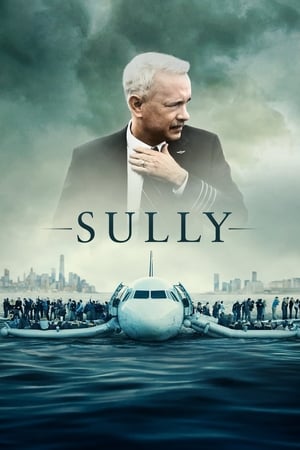 Sully - Vj Mark