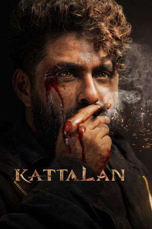 Kattalan 1 - Vj Shield