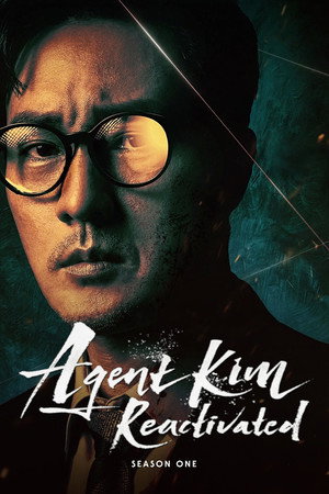 Agent Kim Reactivated - Vj Soul
