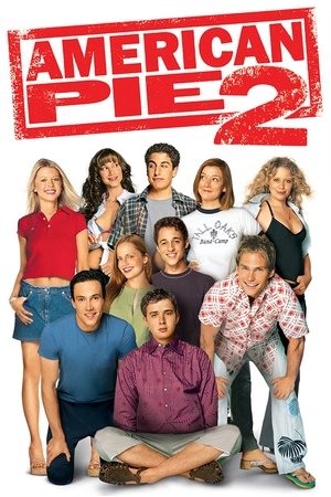American Pie 2 - Vj Junior