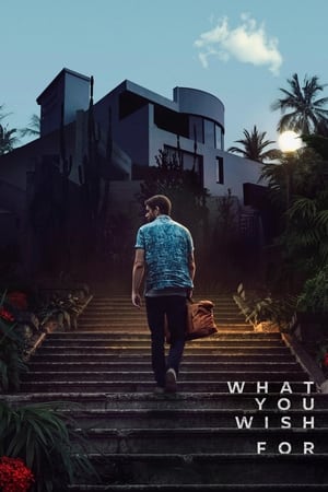 What You Wish For - Vj Junior