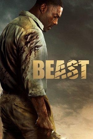 Beast - Vj Jingo