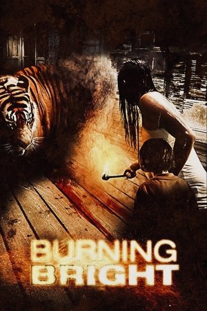 Burning Bright - Vj Jingo