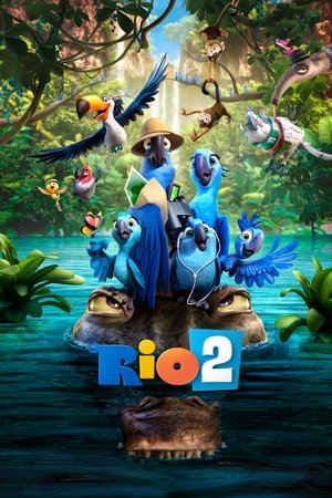 Rio 2 - Vj Martin K