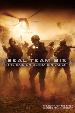 Seal Team Six: The Raid on Osama Bin Laden - Vj Junior