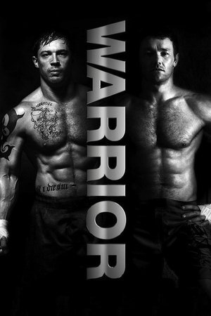 Warrior - Vj Emmy