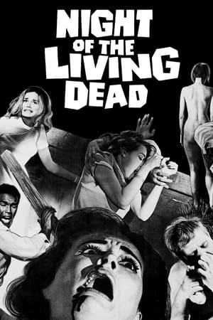 Night of the Living Dead - Vi Jingo