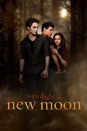 The Twilight Saga (2): New Moon - Vj Junior