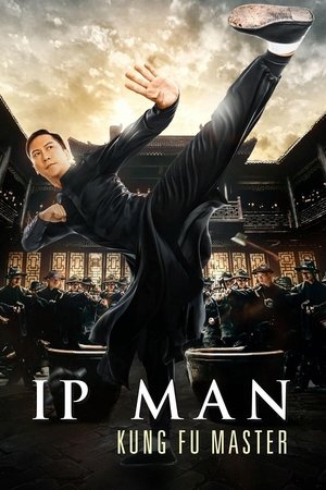 Ip Man Kung Fu Master - Vj Ice P