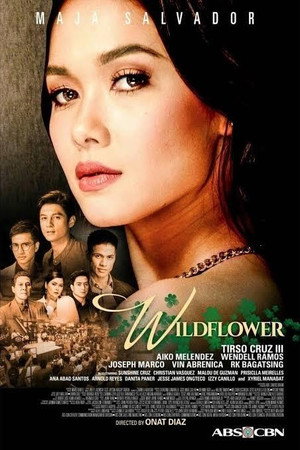 Wildflower - Vj Junior