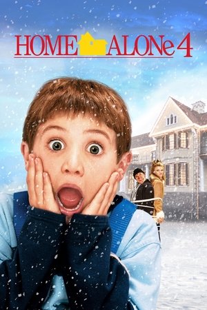 Home Alone 4: Taking Back the House - Vj Emmy