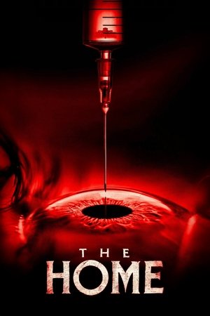 The Home - Vj Junior