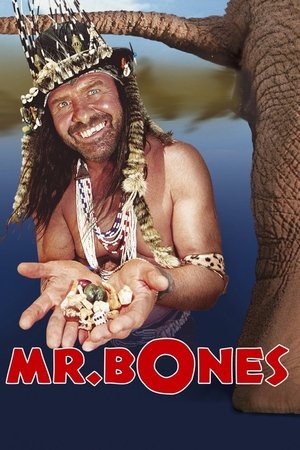 Mr Bones - Vj Jingo