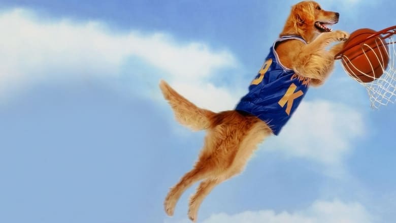 Air Bud 1 - Vj Jingo