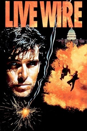 Live Wire - Vj Mark