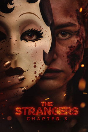 The Strangers: Chapter 3 - Vj Emmy
