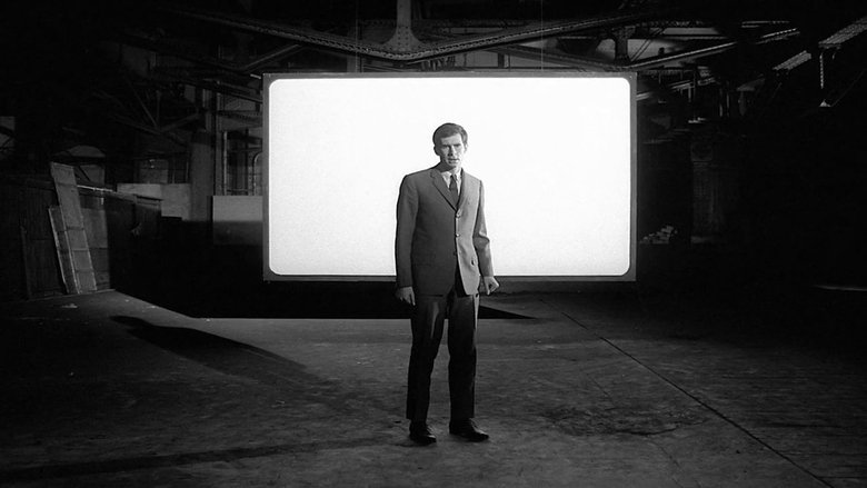 The Trial - Vj Junior