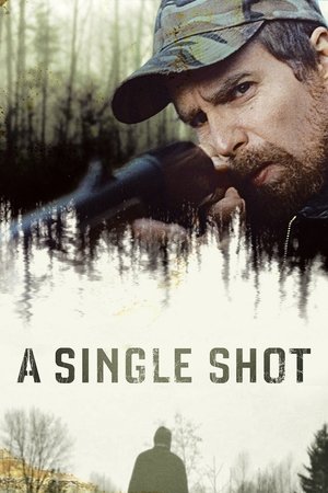 A Single Shot - Vj Jingo