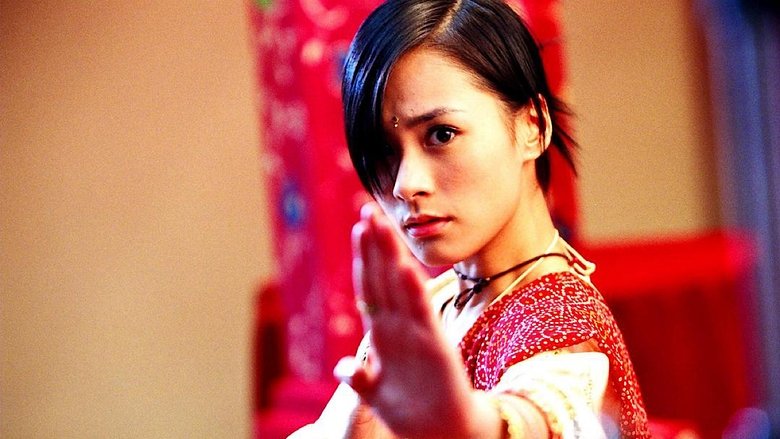 House of Fury - Vj Emmy